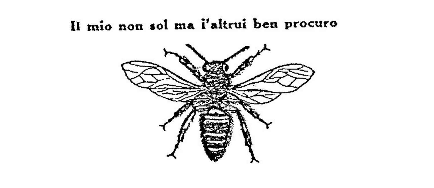 Carlo Carlini maestro delle api