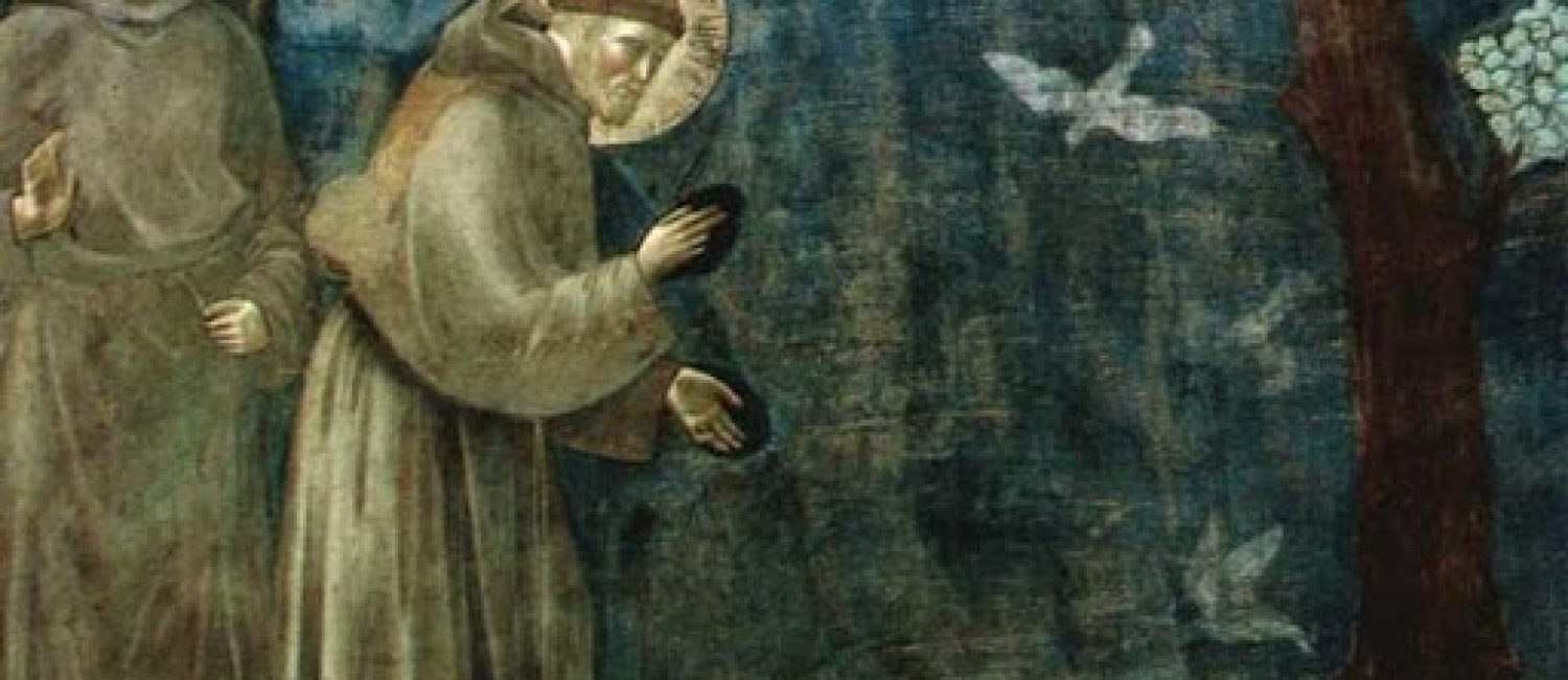 San-Francesco